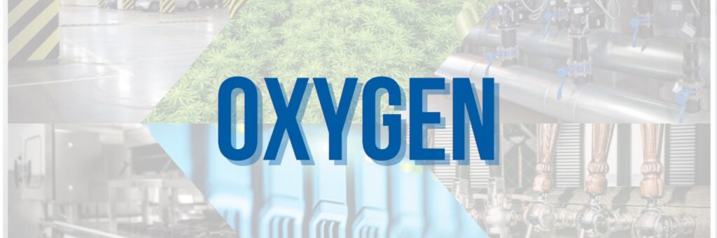Oxygen (O2) is a colorless, odorless, tasteless gas essential to living organisms and beings taken up by animals.